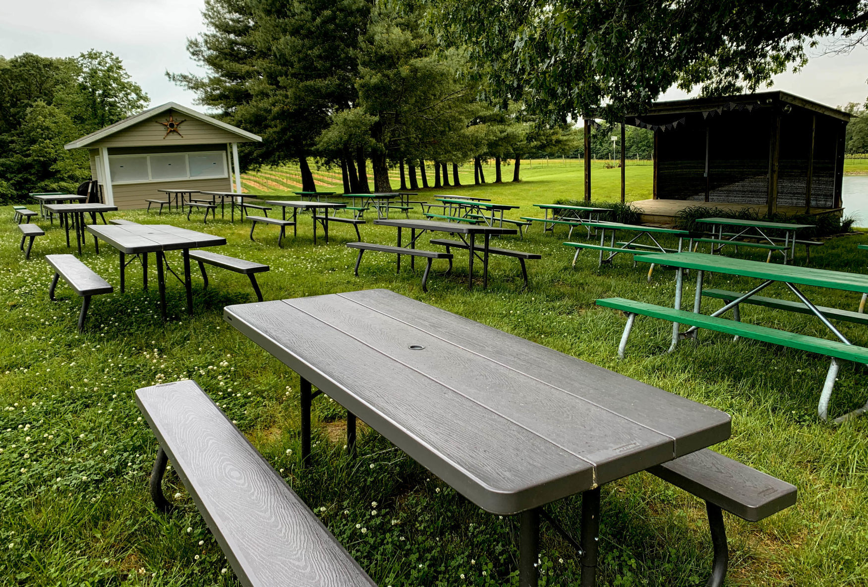 Wineries reopen after coronavirus shutdown
